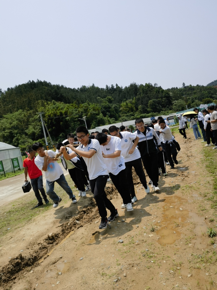 研有所见 学有所获