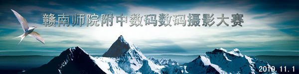 我校数码摄影大赛征稿了