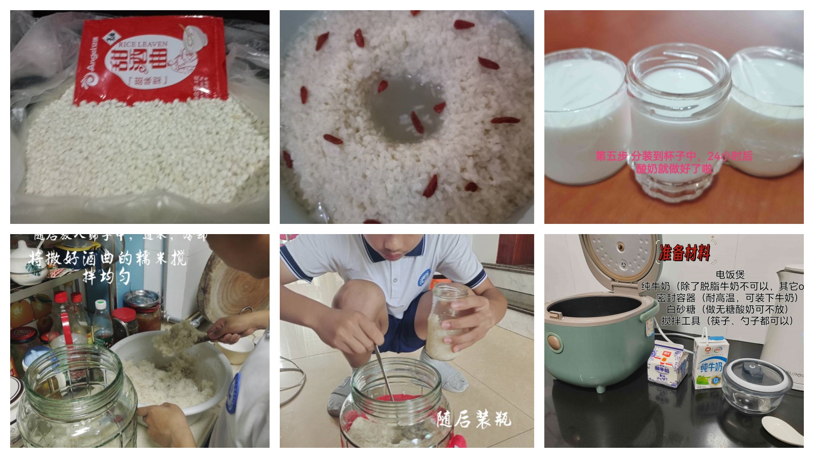 寓酵于乐，生生不息