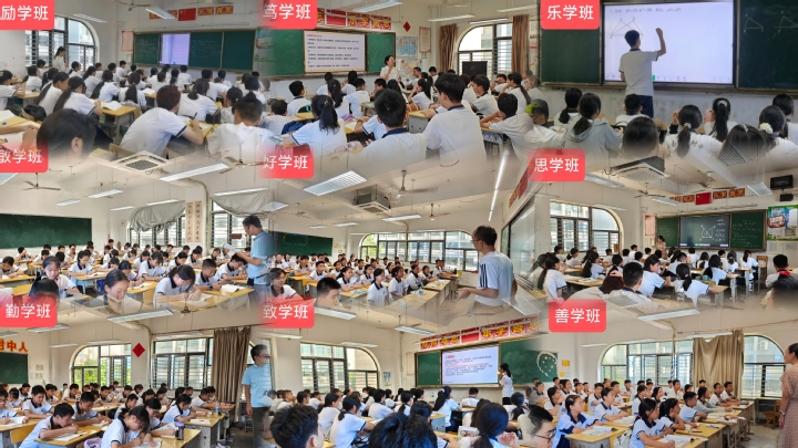 分出自信，走出精彩——八年级数学英语分层走班探索纪实